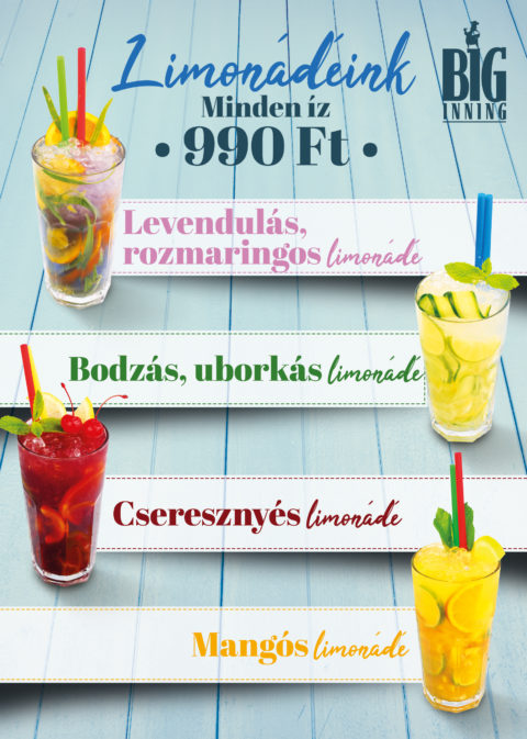 2018_05_biginning_LIMO_szorolap_A5