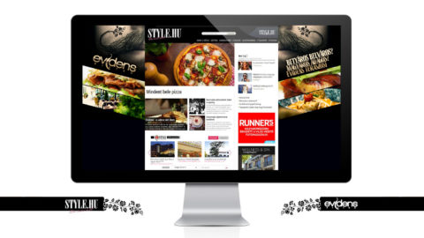 style_web_banner