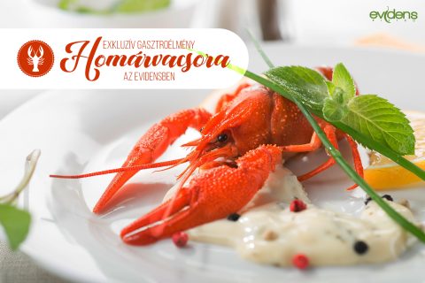 2018_08_evidens_post_005