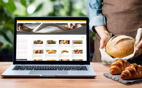 sonneveld-katalogus-es-weboldalfejlesztes